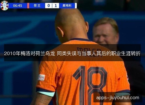 2010年梅洛对荷兰乌龙 同类失误与当事人其后的职业生涯转折 2010年梅洛对荷兰乌龙 同类失误与当事人其后的职业生涯转折